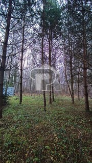 Купить землю, №384782