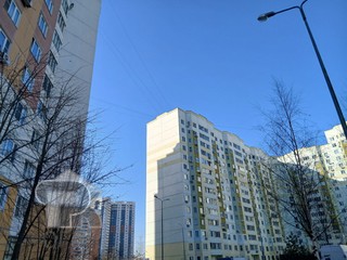 Купить 1-комнатную квартиру, №388801