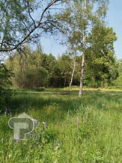 Купить землю, №385790