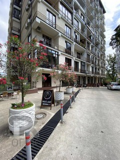 Купить студию, №388324