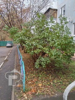 Купить 2-комнатную квартиру, №387200