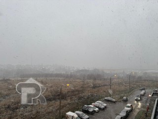 Купить студию, №387829