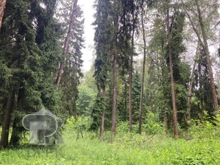 Купить землю, №384981