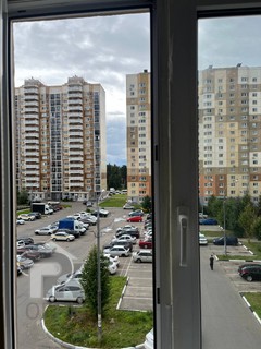 Купить студию, №391617