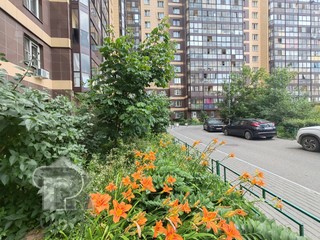 Купить студию, №385321
