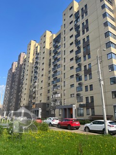 Купить студию, №384953
