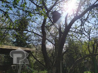 Купить частьдома, №385337