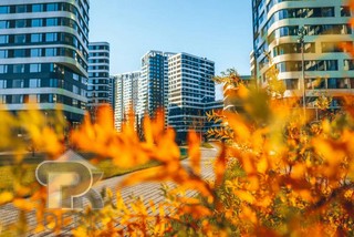 Купить 2-комнатную квартиру, №369647