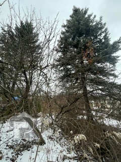 Купить дом, №384641