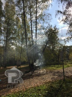 Купить 3-комнатную квартиру, №371319