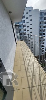 Купить студию, №387117