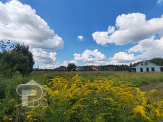 Купить землю, №386098