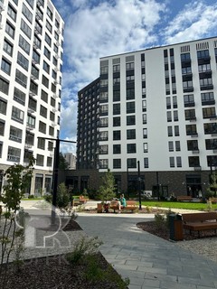 Купить студию, №386534