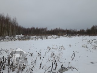 Купить землю, №362559