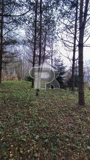 Купить землю, №384782