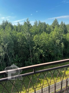 Купить студию, №388492