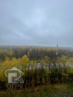 Купить 1-комнатную квартиру, №387396