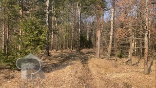 Купить землю, №384749