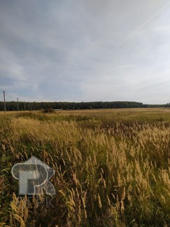 Купить землю, №386456