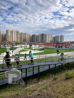 Купить 1-комнатную квартиру, №386896