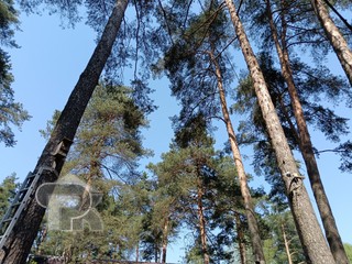 Купить дом, №389743