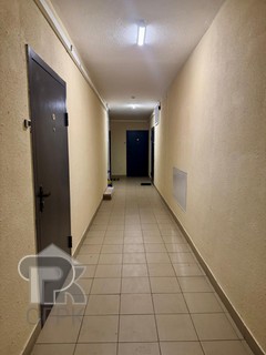 Купить студию, №387117