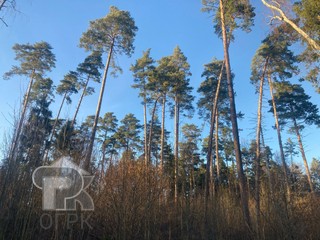 Купить землю, №384353