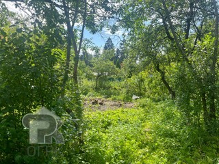 Купить землю, №386541