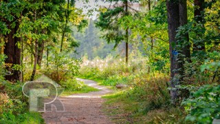 Купить студию, №388932