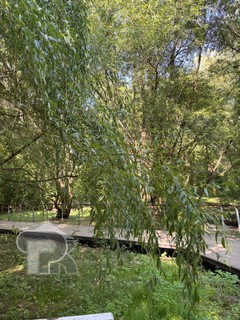 Купить 3-комнатную квартиру, №386039