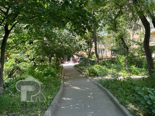 Купить студию, №389941