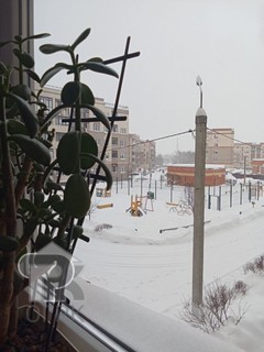 Купить 2-комнатную квартиру, №388236