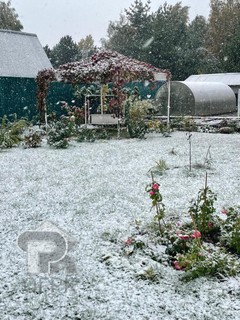 Купить дом, №388433