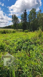 Купить землю, №392045