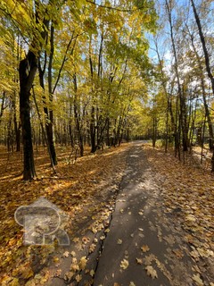 Купить 1-комнатную квартиру, №378869