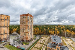 Купить 2-комнатную квартиру, №392651