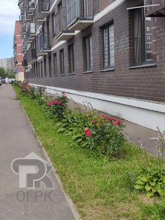 Купить студию, №390742