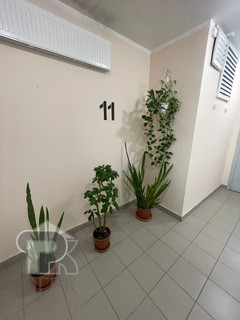 Купить 3-комнатную квартиру, №386365