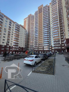 Купить студию, №386466
