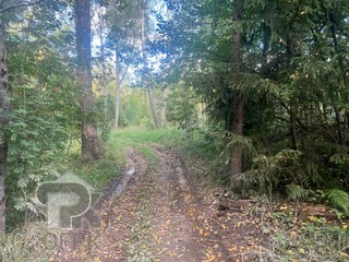 Купить землю, №386423