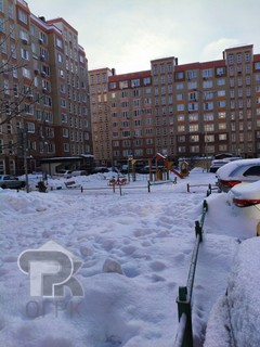 Купить студию, №388184