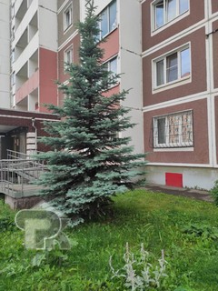 Купить 1-комнатную квартиру, №385947