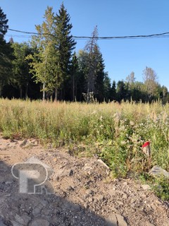 Купить землю, №358984