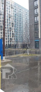 Купить студию, №387351