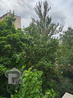 Купить 1-комнатную квартиру, №385977
