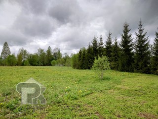Купить землю, №384395