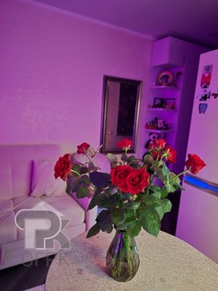 Купить студию, №387896