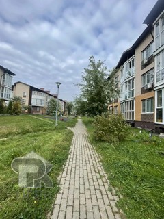 Купить студию, №392322