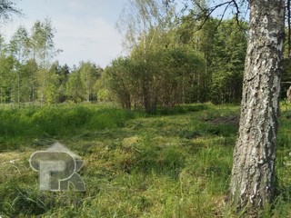 Купить землю, №385790