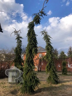 Купить дом, №390070